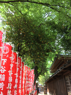 90AE018C-AFA5-4612-9147-A7D51840E25A.jpg