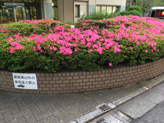 A8D74206-F648-47E9-8F65-29D06A8BE870.jpg
