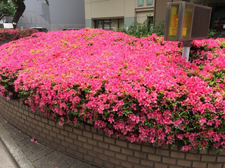 68BD7A61-8EAB-4485-8C3D-A53A1CF4D51B.jpg