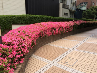87A4F781-4D23-48F6-A0E6-7BCA18F28D8A.jpg